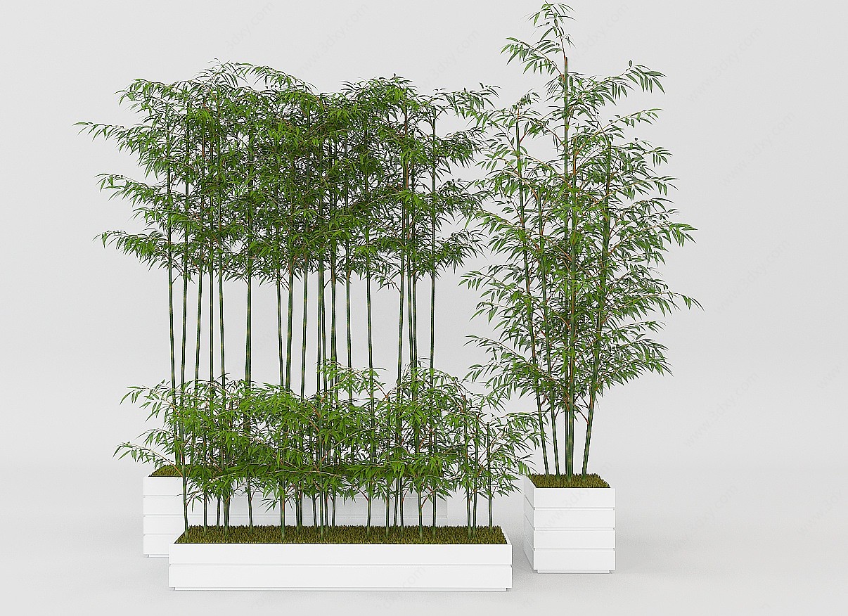 植物竹子3D模型