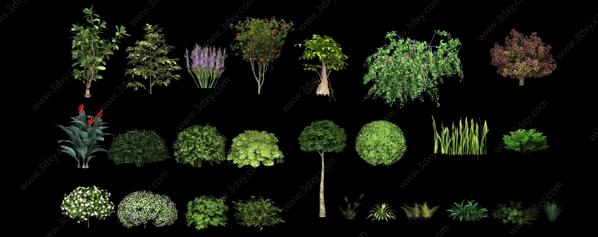 现代园林景观植物3D模型