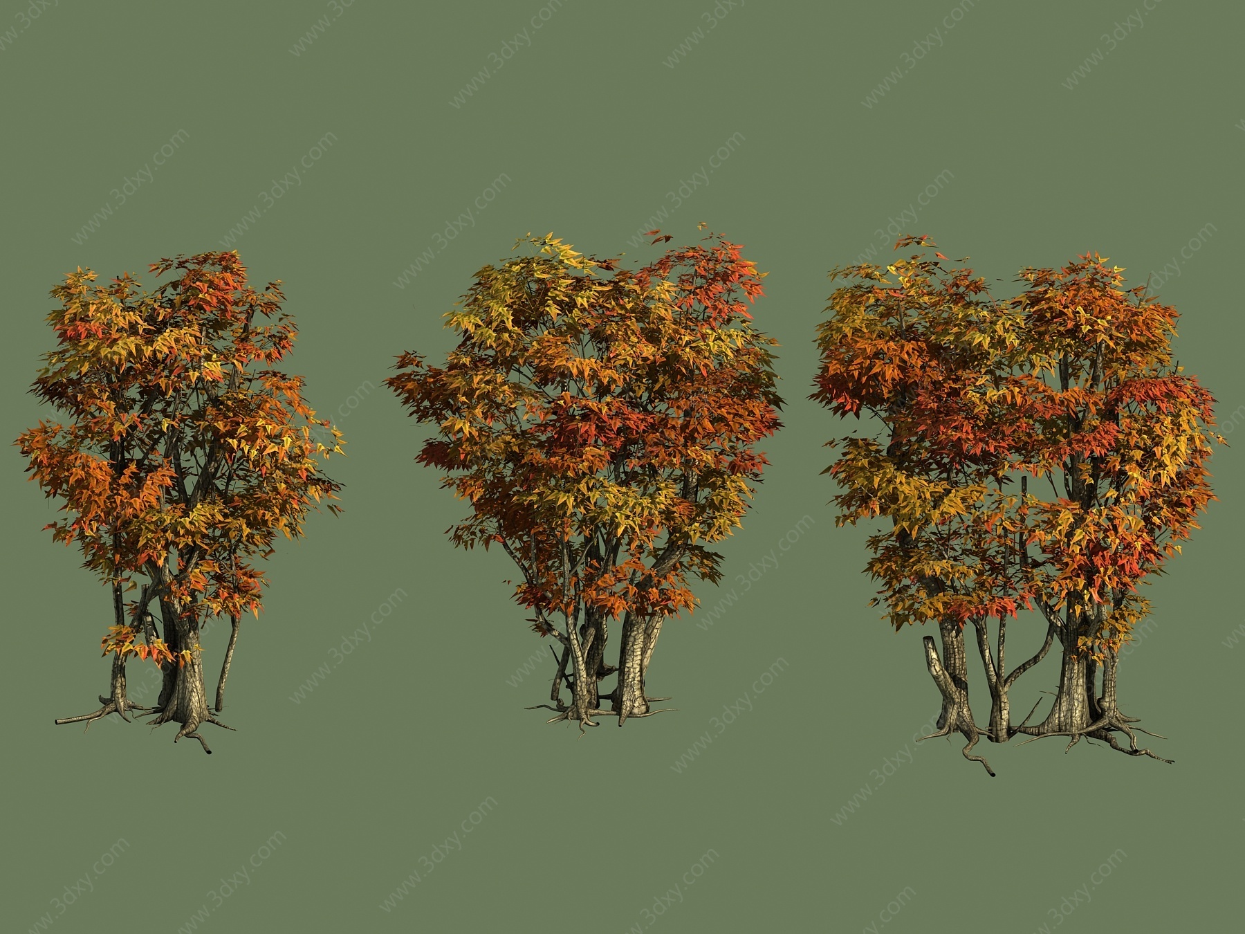 植物树榕树枫树3D模型