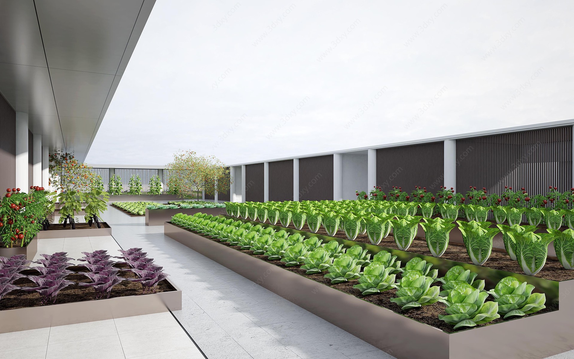 现代风格蔬菜庭院3D模型
