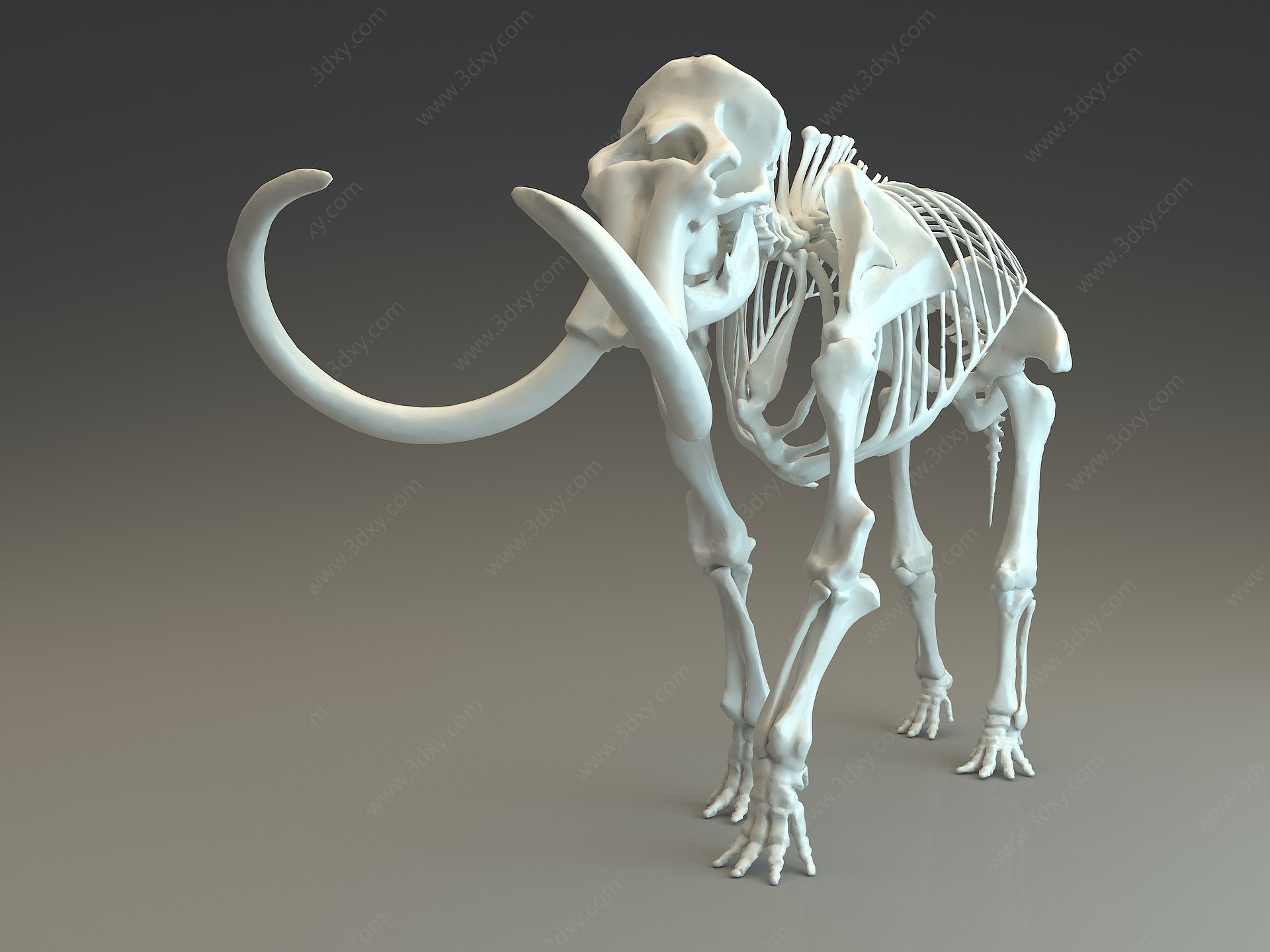 猛犸象骨架骨架3D模型