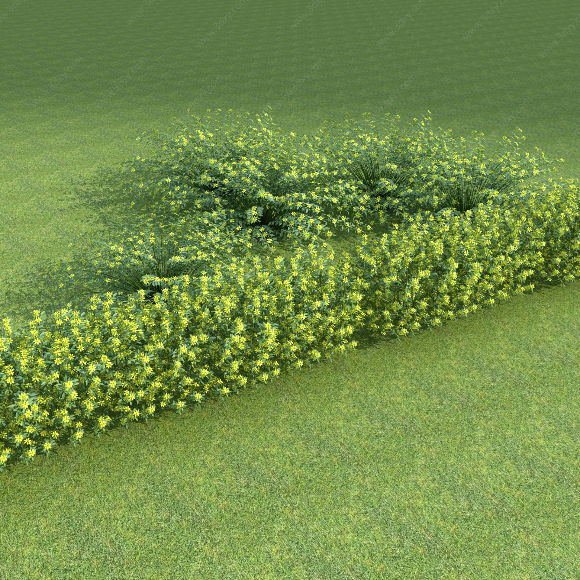 现代草坪3D模型