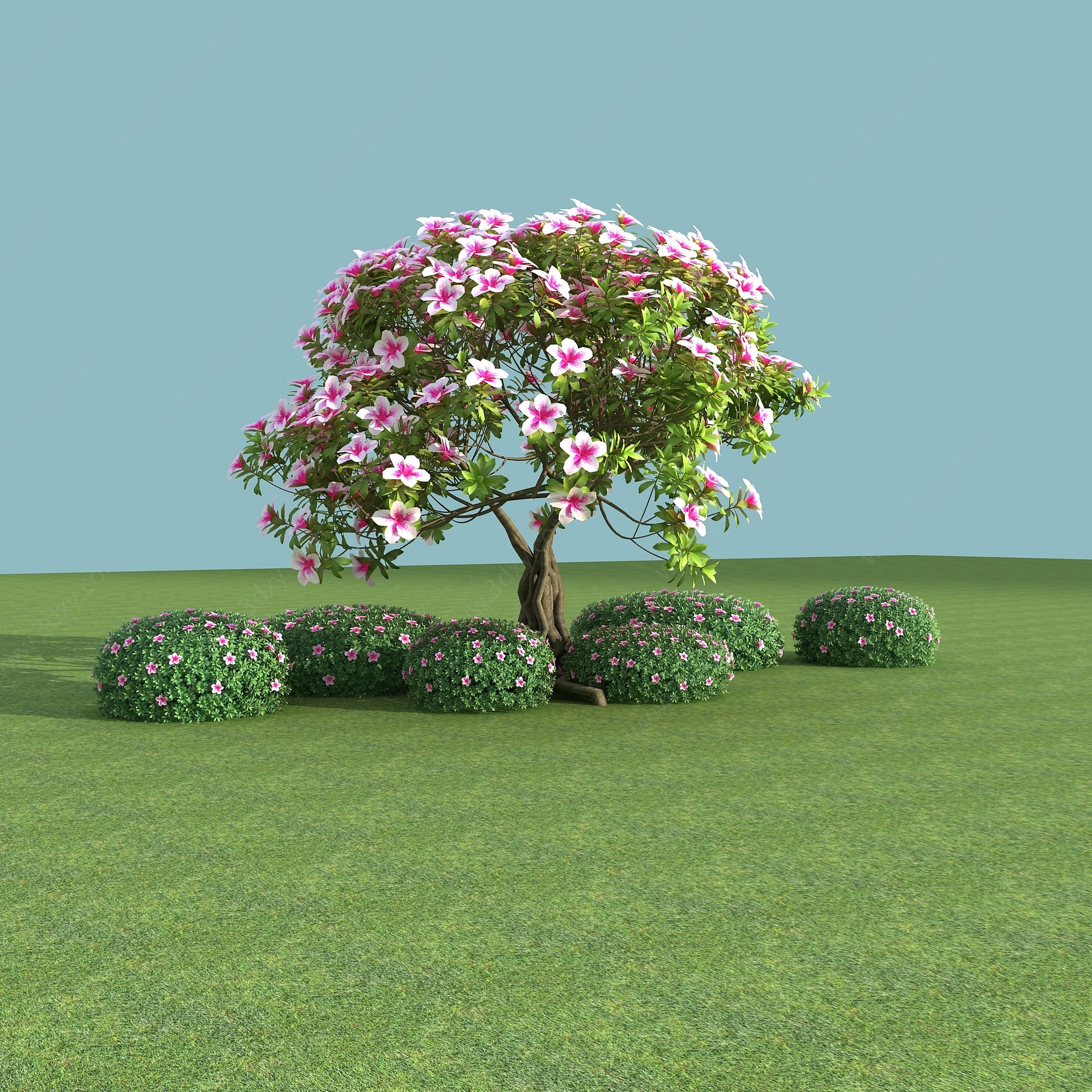现代植物杜鹃花3D模型