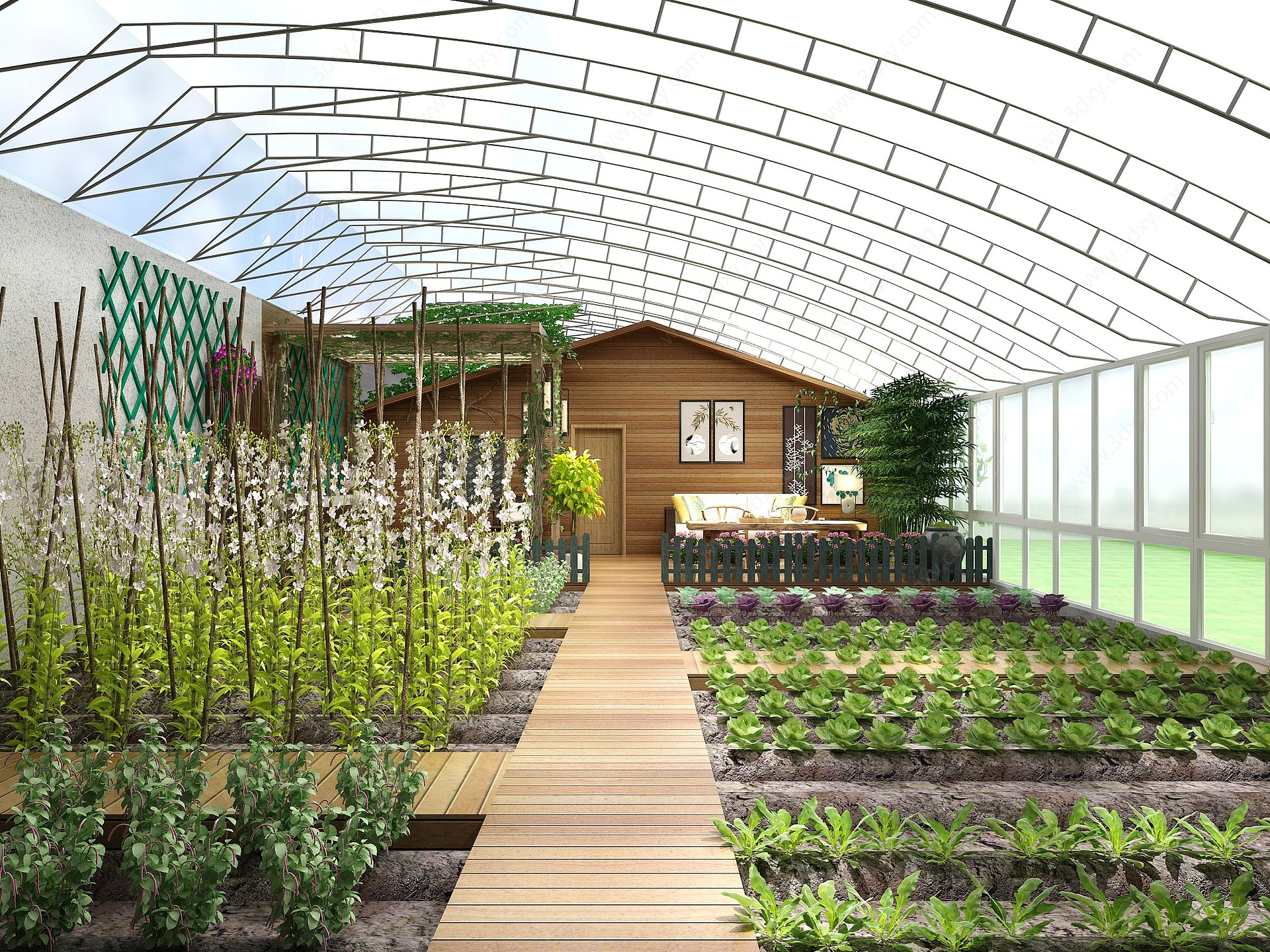 新中式温室蔬菜大棚菜地3D模型