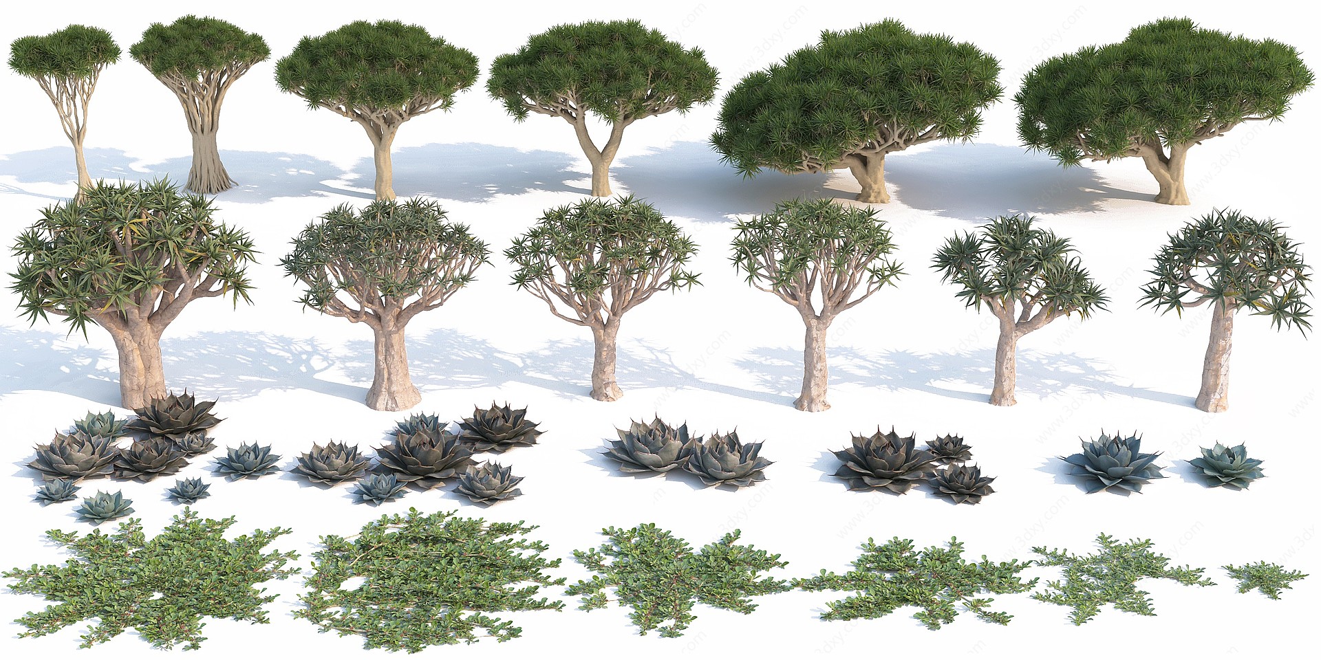 现代灌木植物3D模型