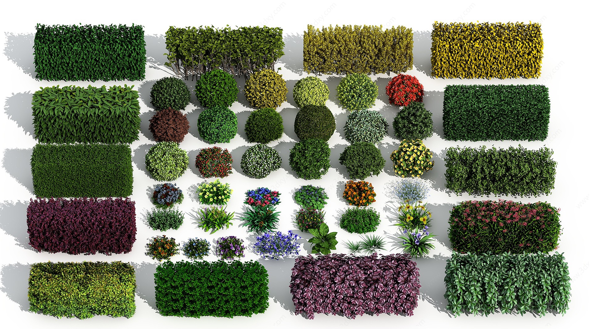 现代景观绿篱灌木花草3D模型