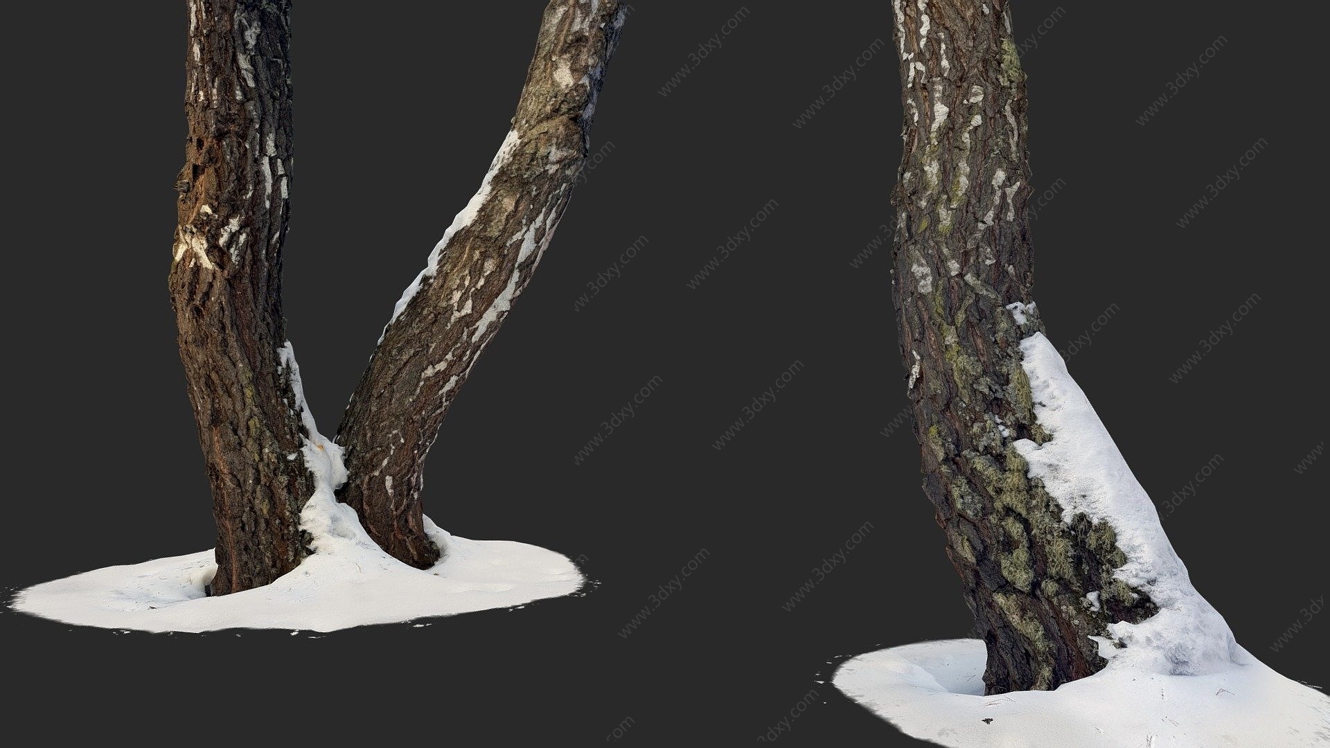 现代带雪的桦木树干3D模型