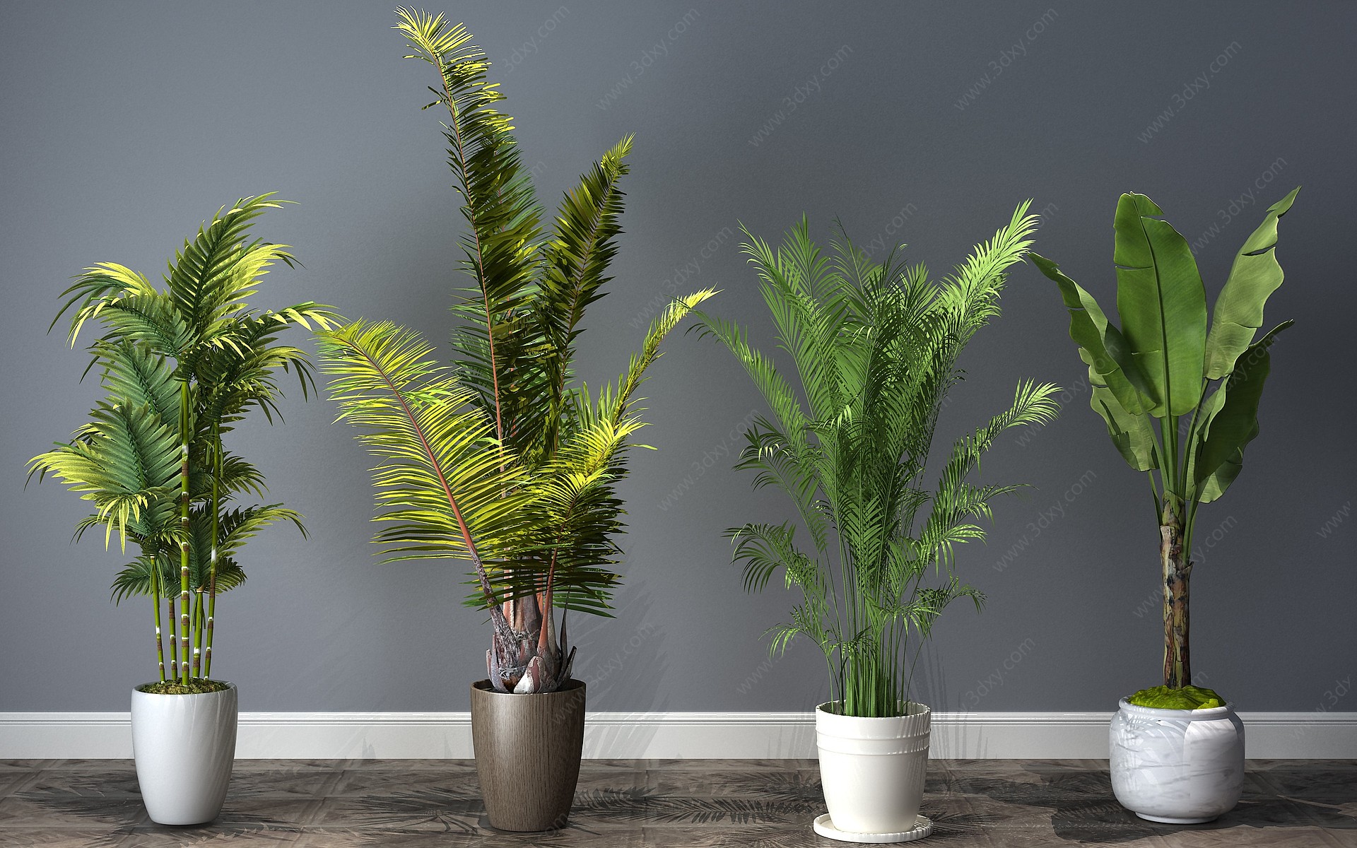 现代植物盆栽盆景3D模型
