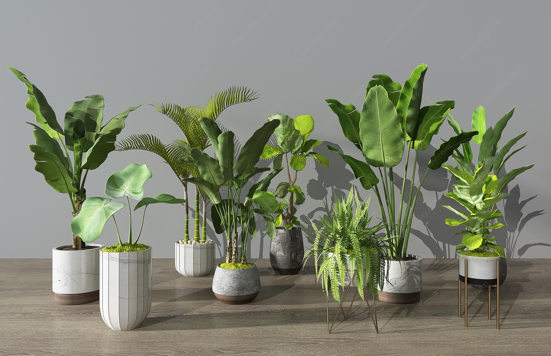 现代植物盆栽花盆绿植3D模型