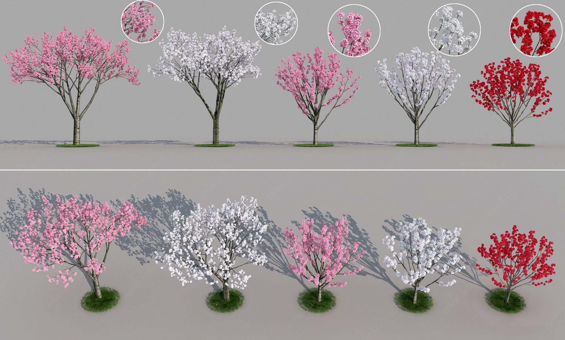 现代植物景观树3D模型