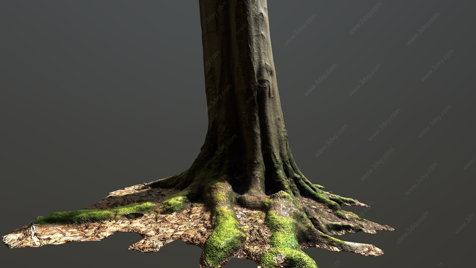 现代树干树根3D模型