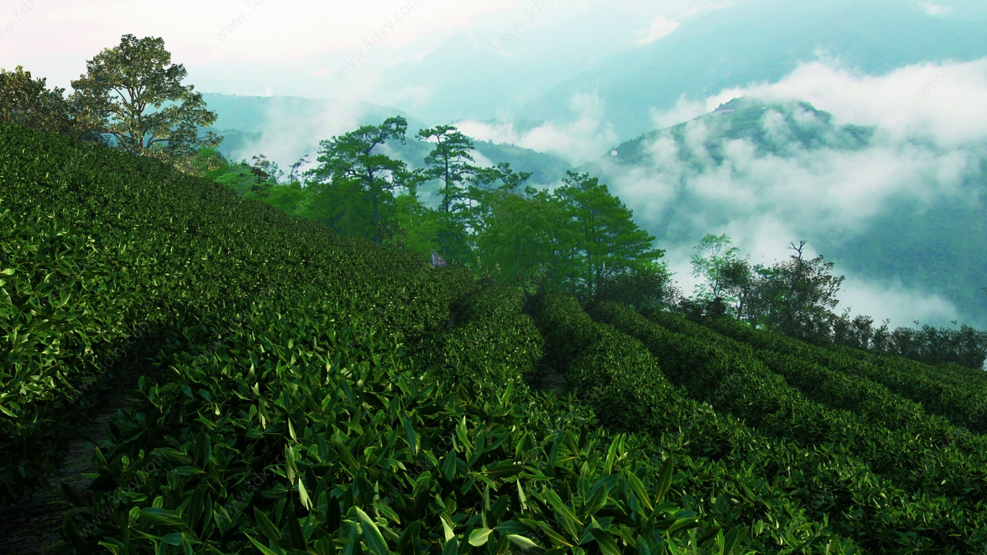 中式茶山自然风景茶园3D模型