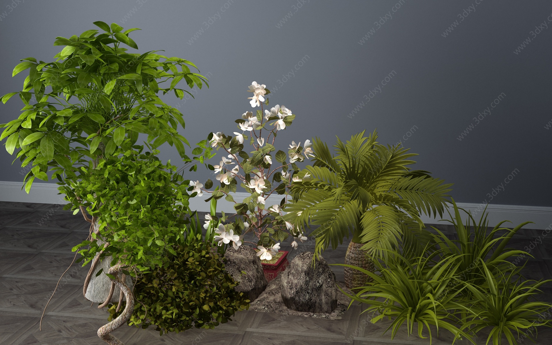 现代植物灌木草丛花草3D模型