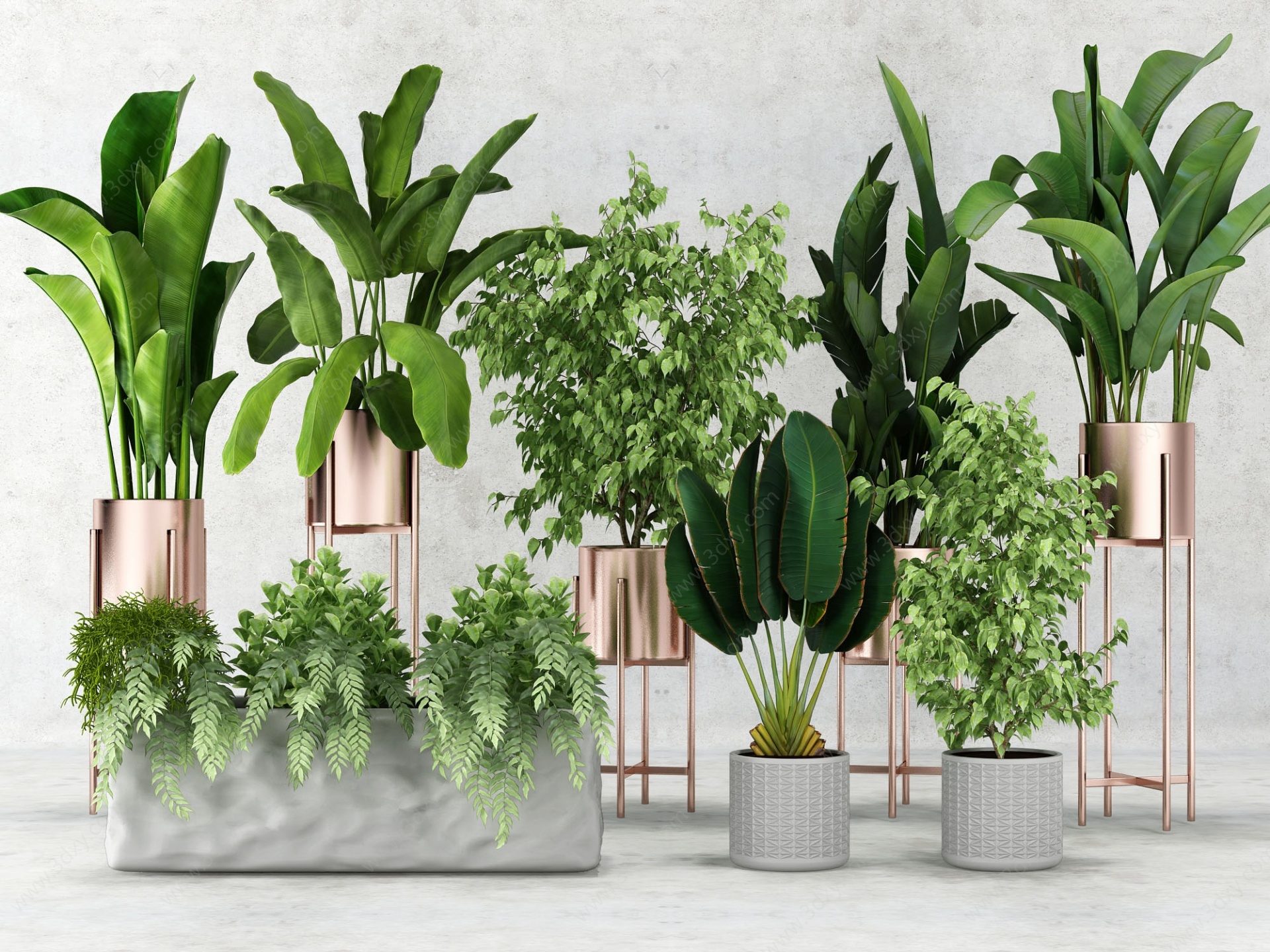 植物盆景绿植花盆3D模型