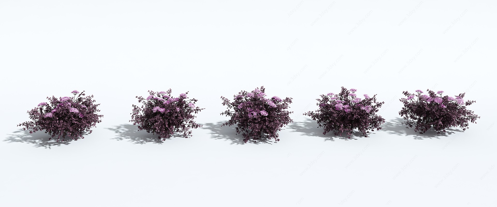 现代灌木园林灌木花带3D模型