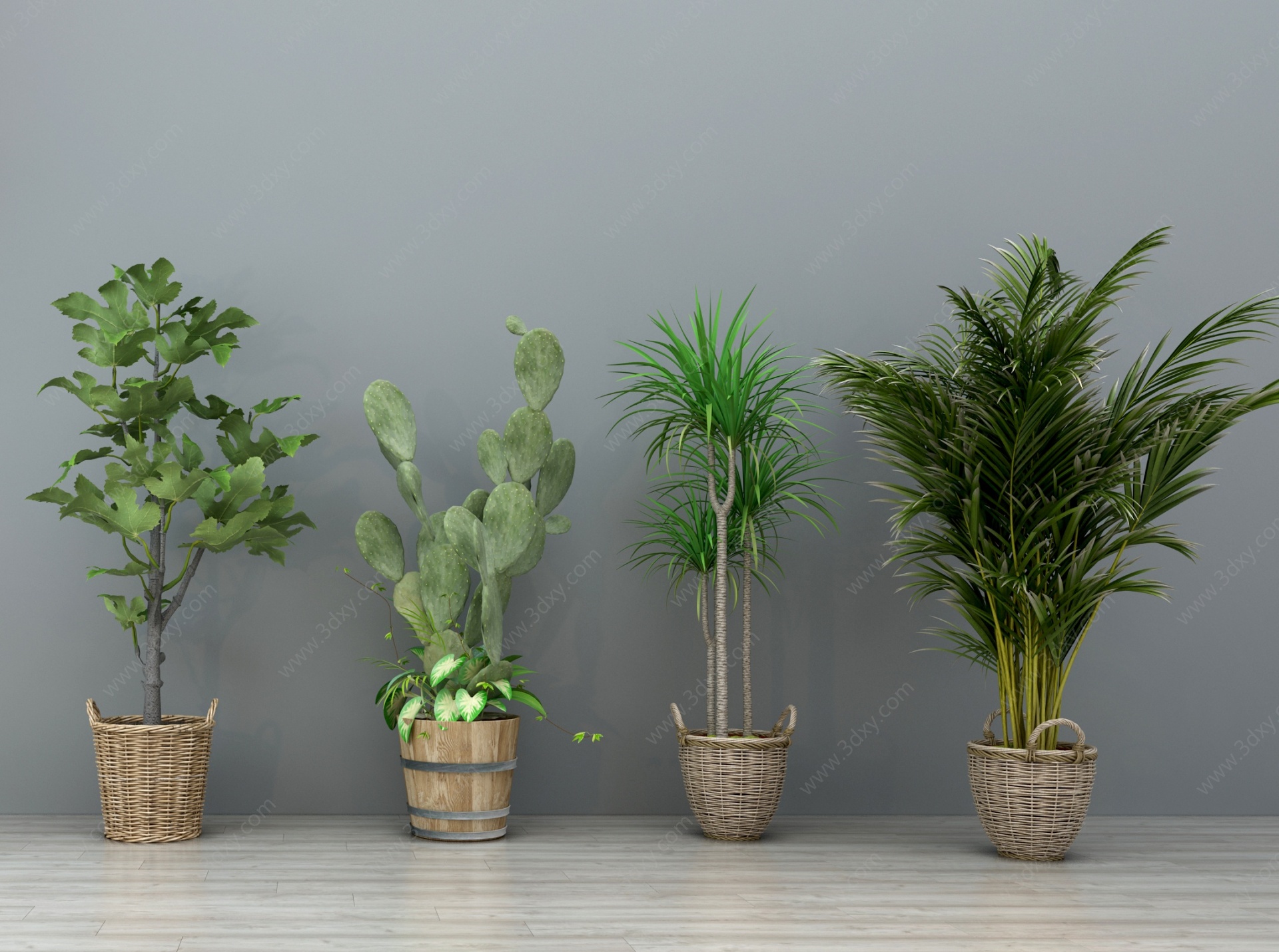 现代绿植盆栽盆景3D模型