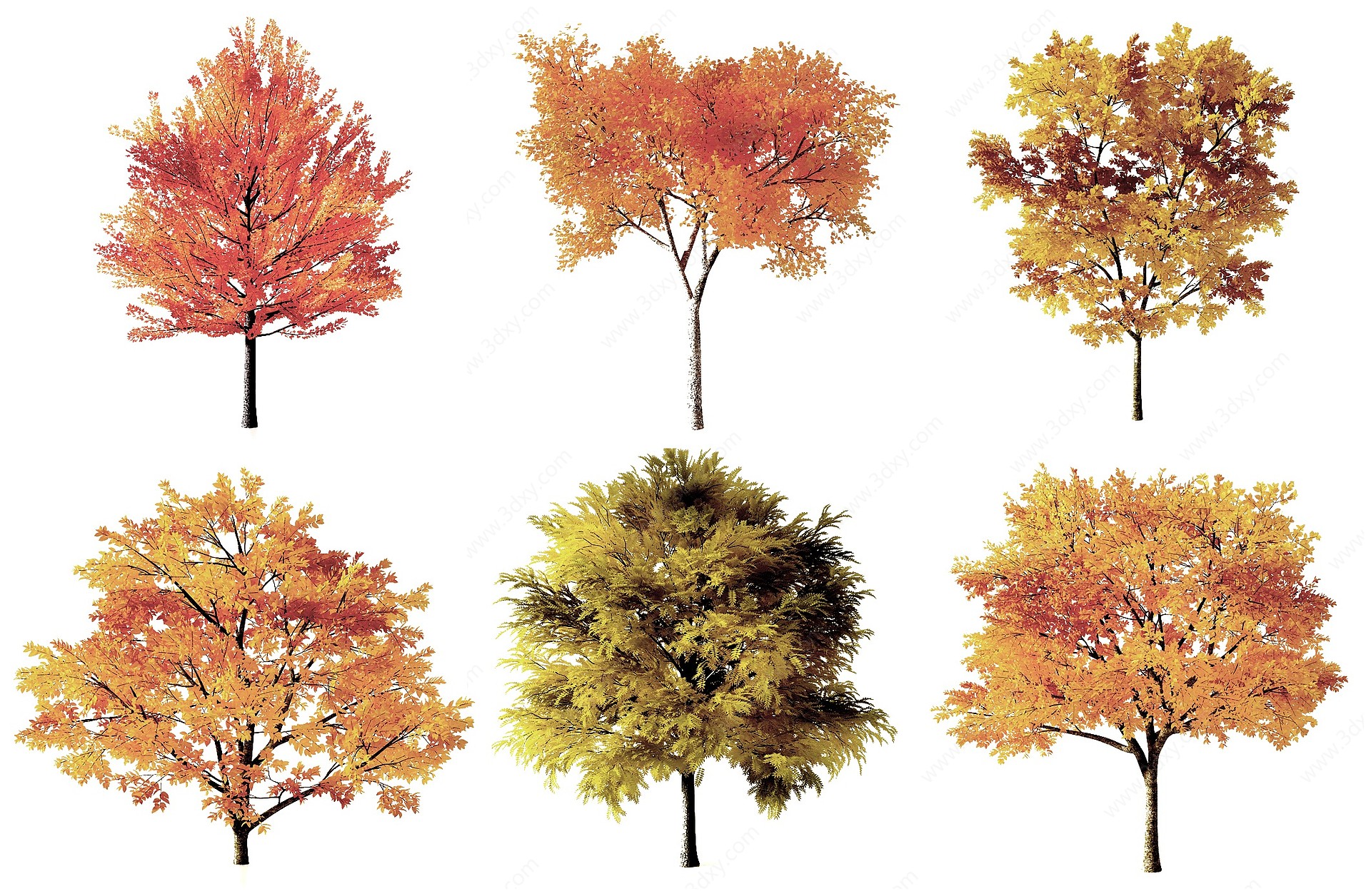 秋天树3D模型