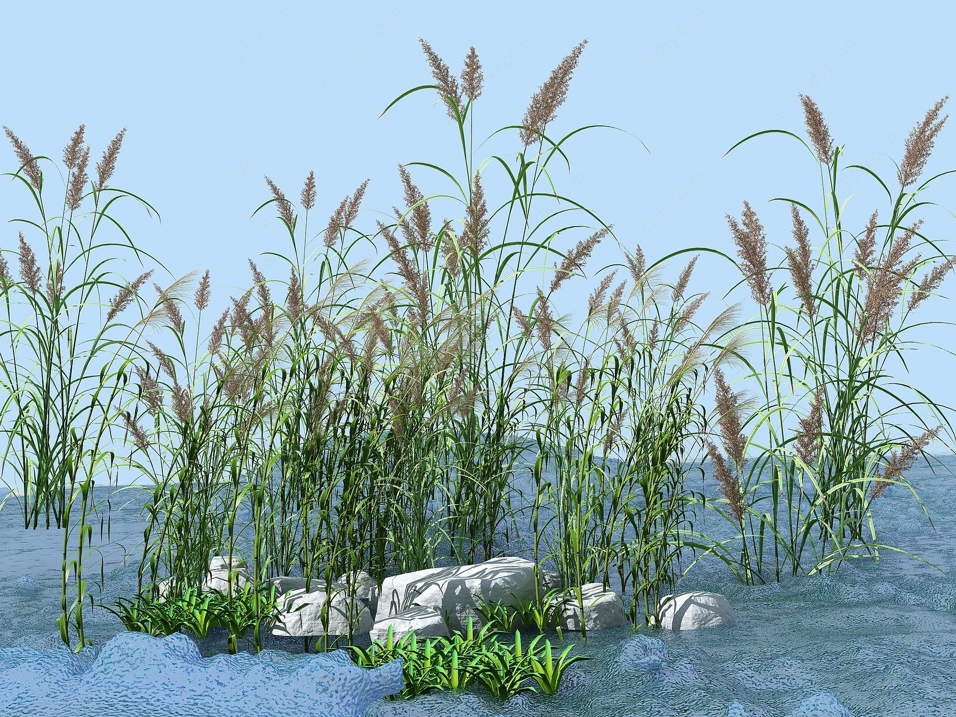 水草湿地3D模型