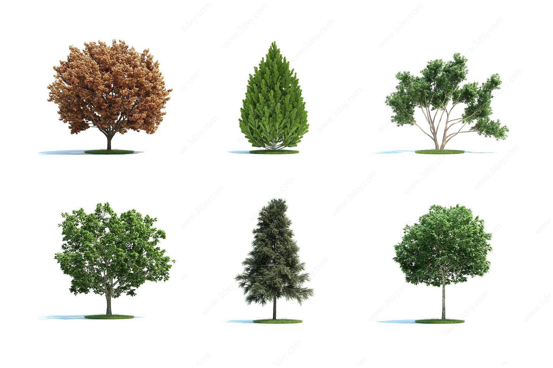 现代景观树木3D模型