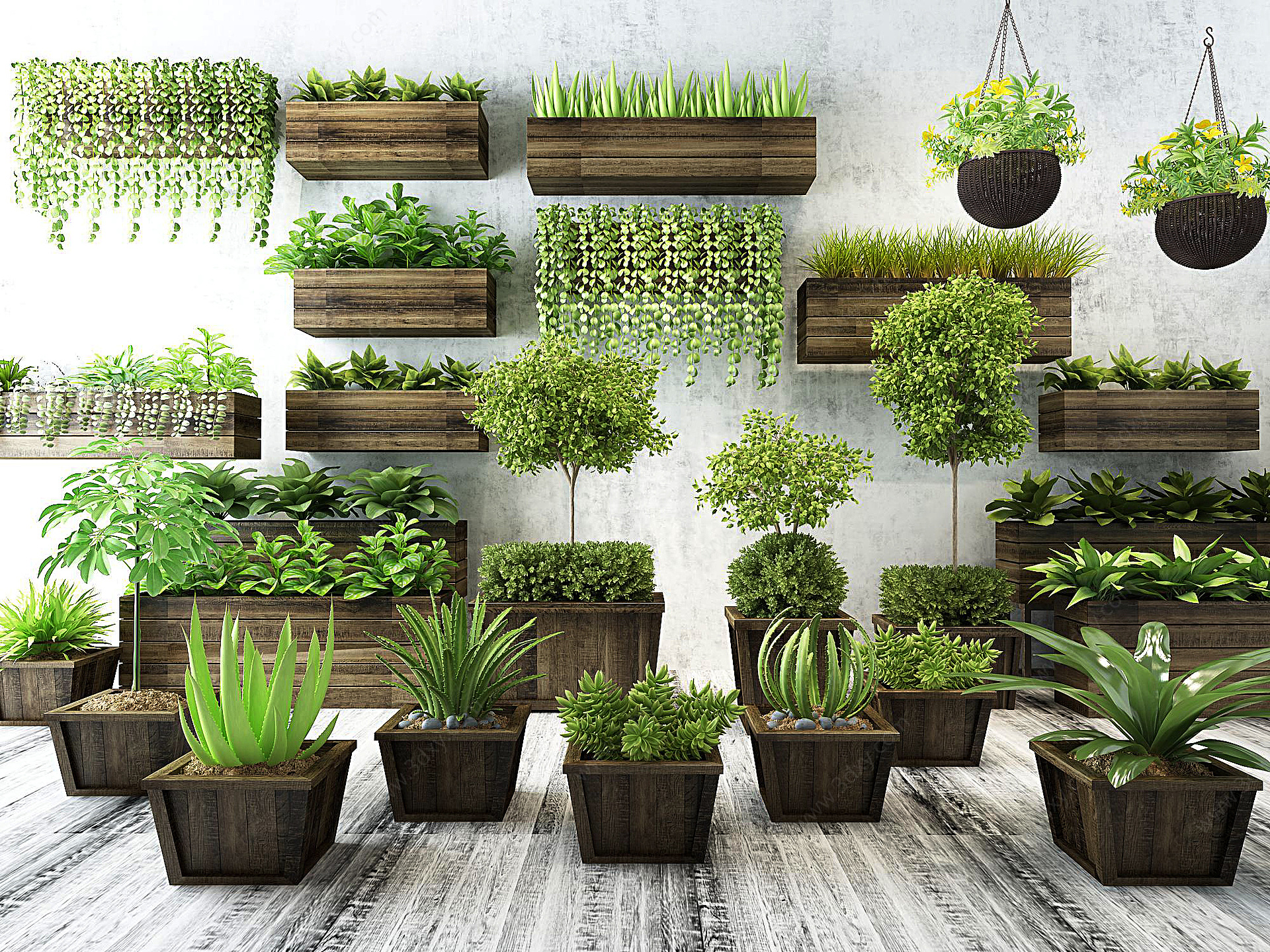 绿植盆栽吊篮植物花草墙饰3D模型