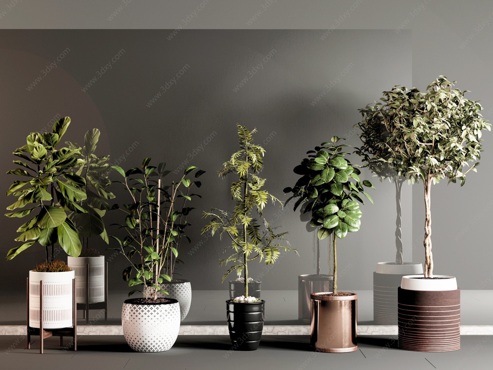 现代盆栽植物绿植组合3D模型