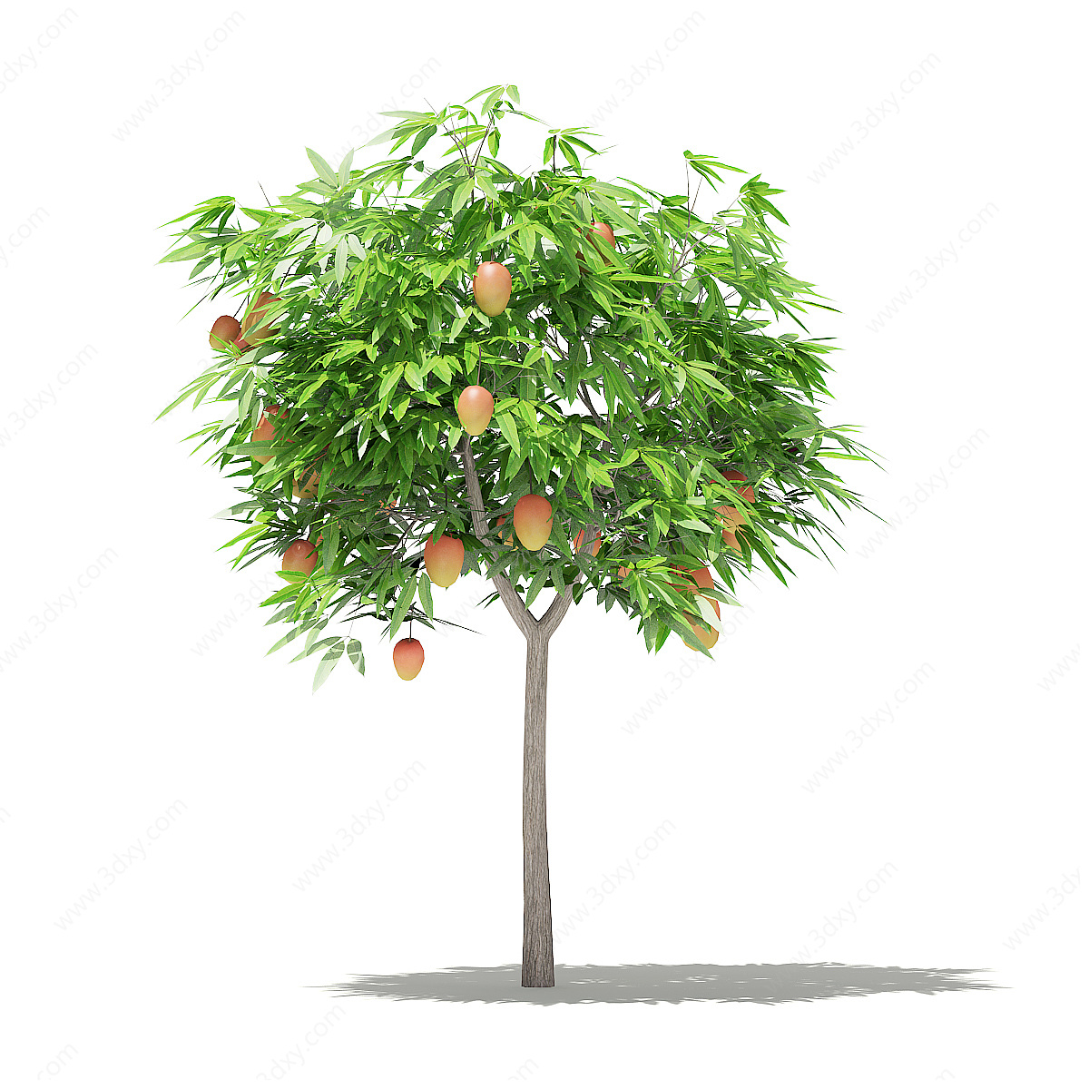 芒果树3D模型