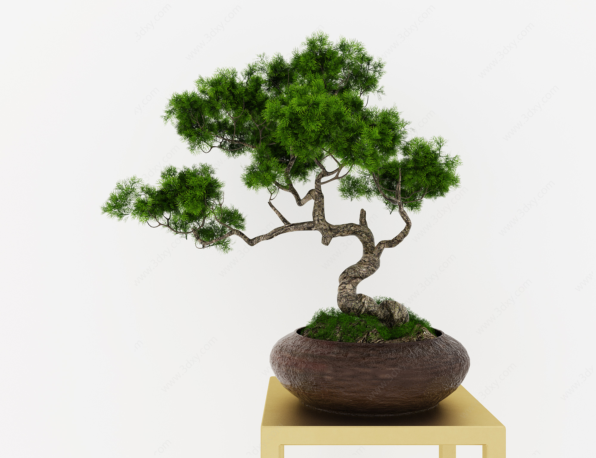 盆栽绿植摆件松树摆件3D模型