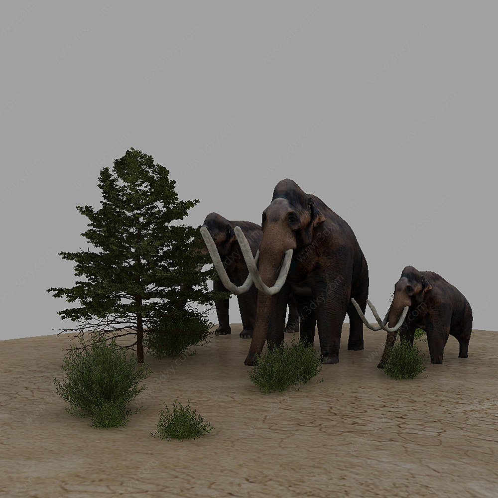 大象3D模型