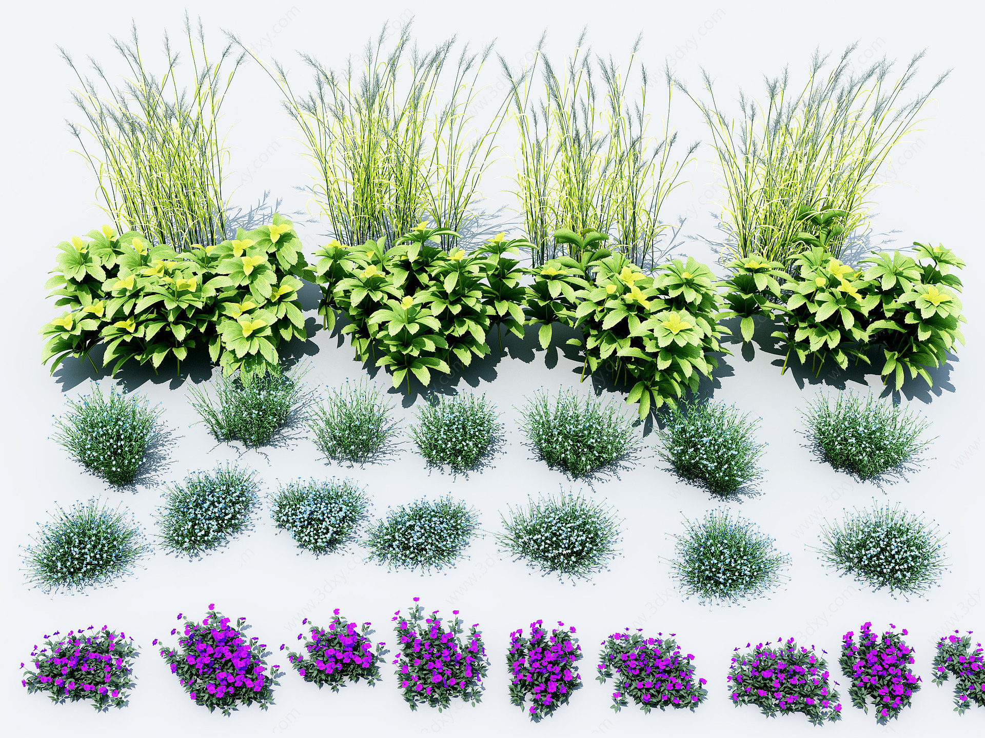 现代花草组合3D模型