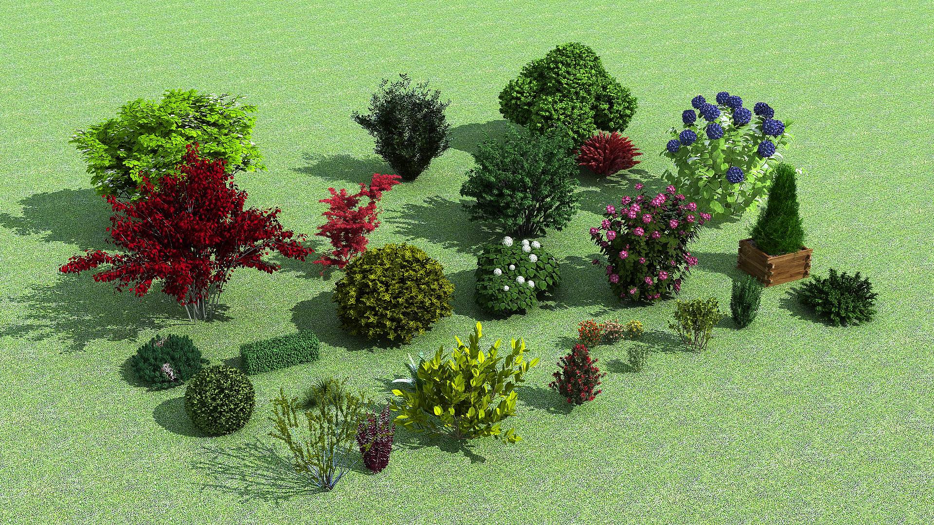 灌木乔木小树花草树种合集3D模型