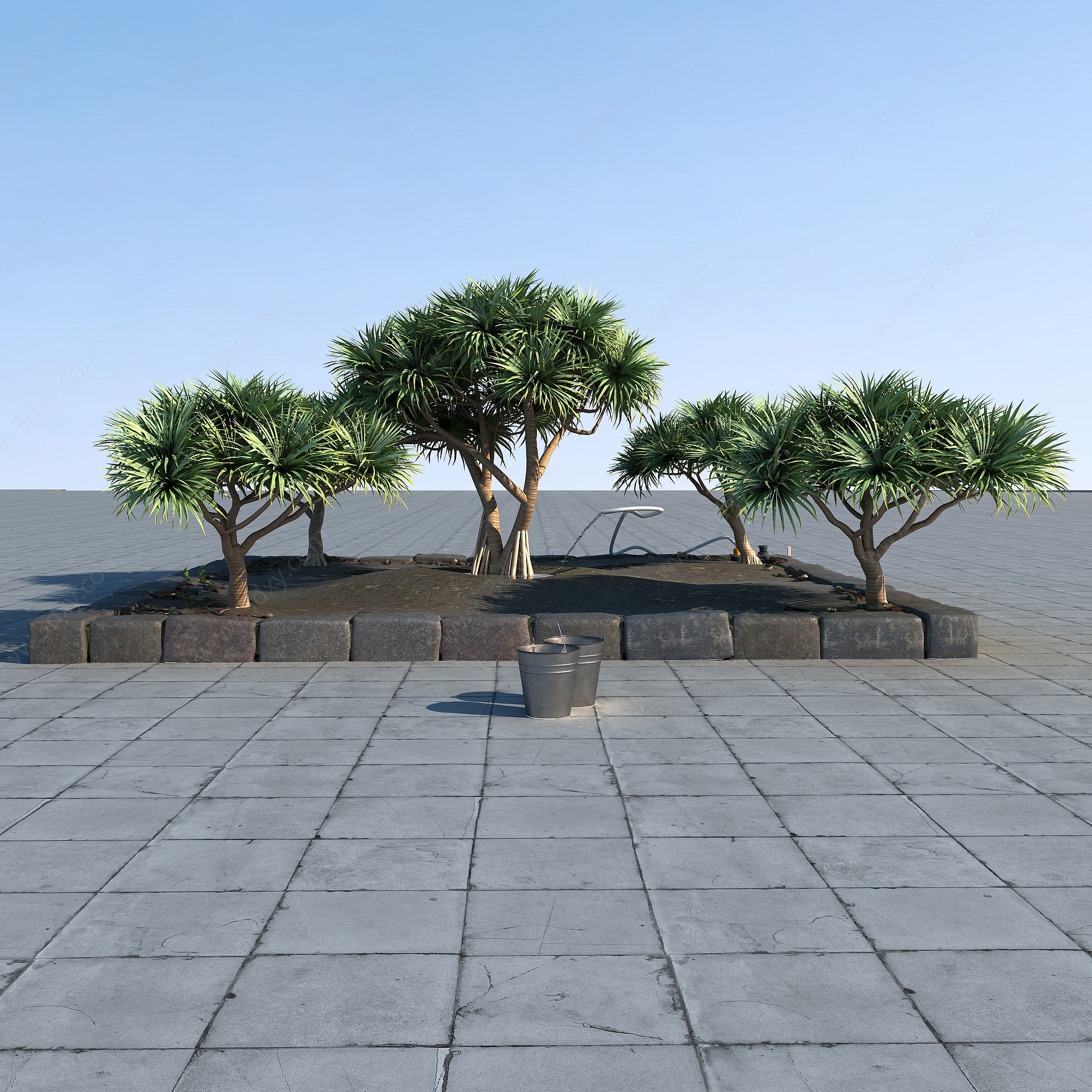 植物树3D模型