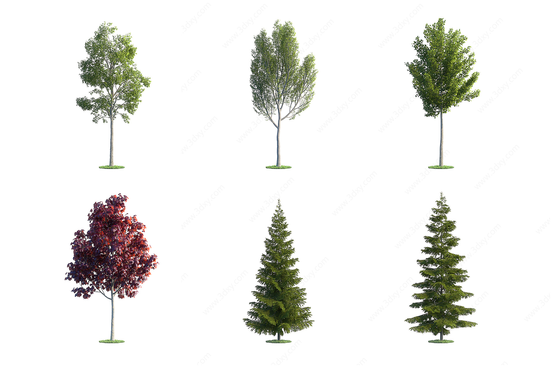 现代景观树木户外树木3D模型