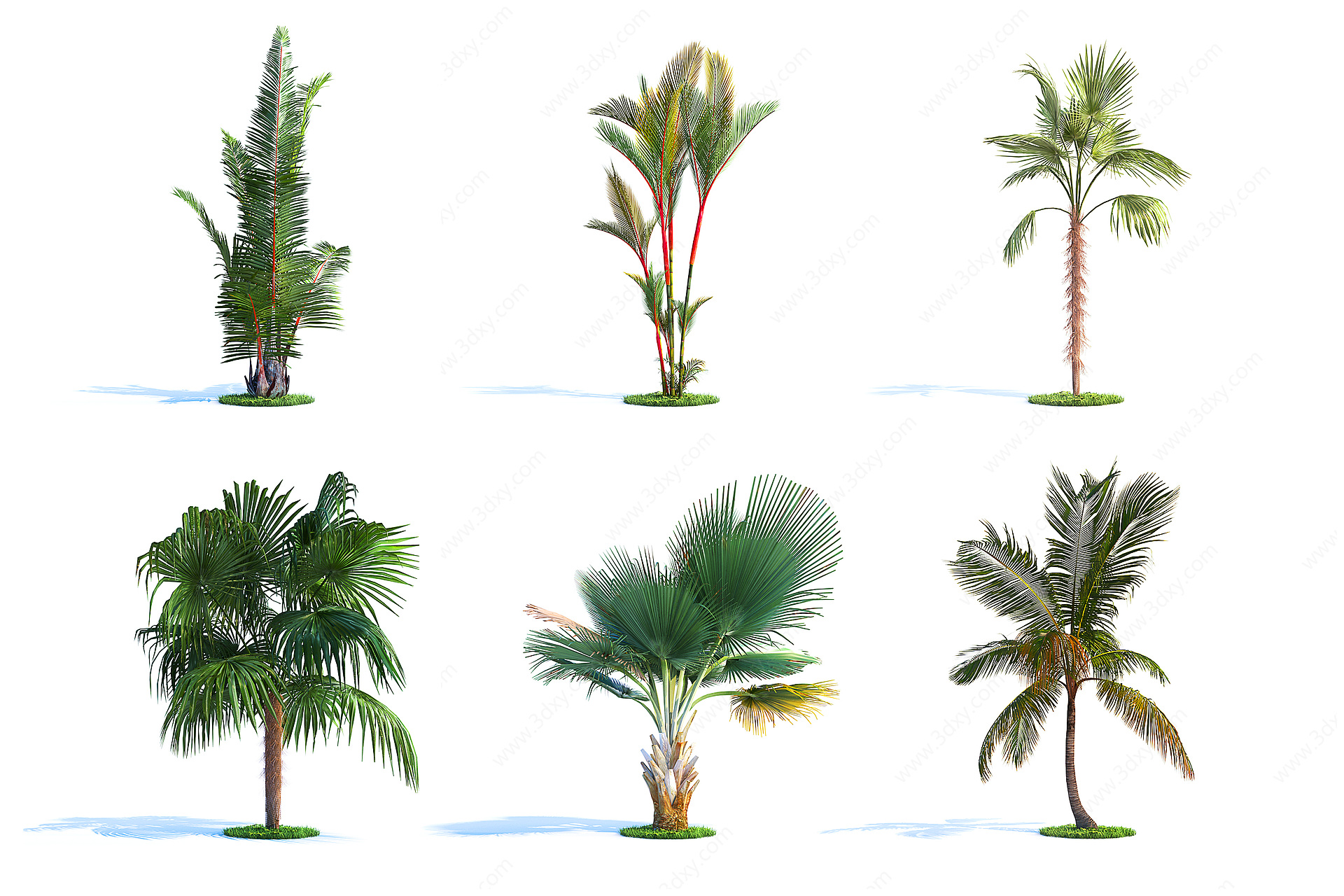 景观树木户外树木3D模型