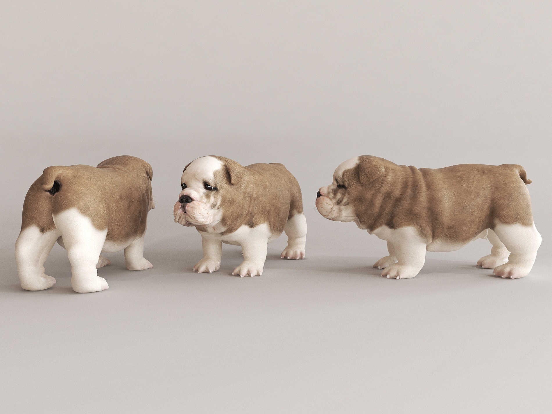 现代狗宠物3D模型