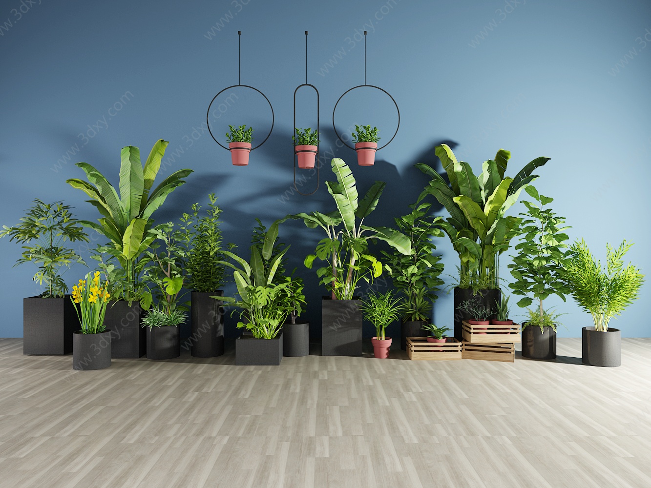 植物盆栽绿植观音竹芭蕉3D模型