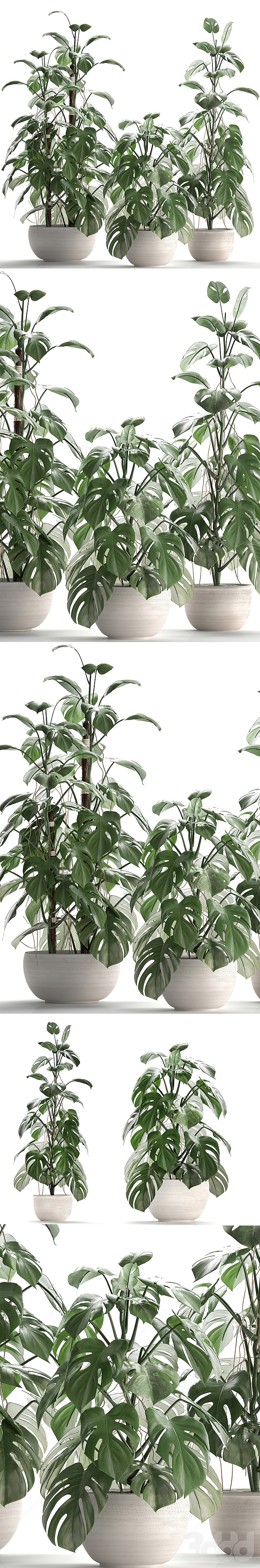 植物集合3D模型