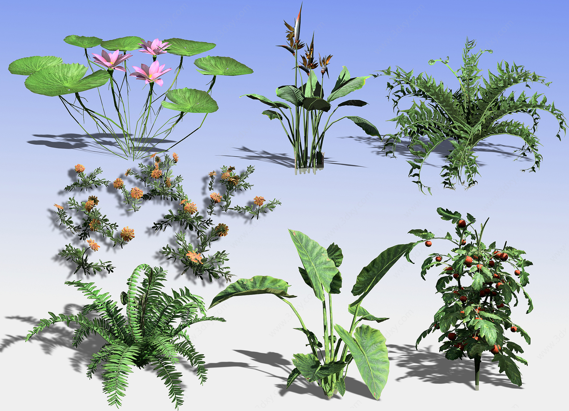 现代景观树花草3D模型