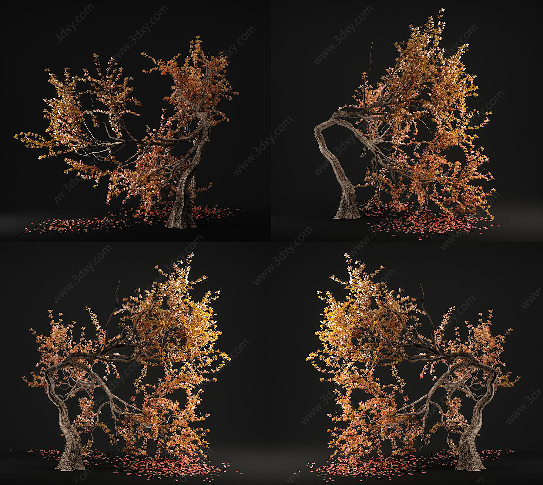 现代树木装饰3D模型