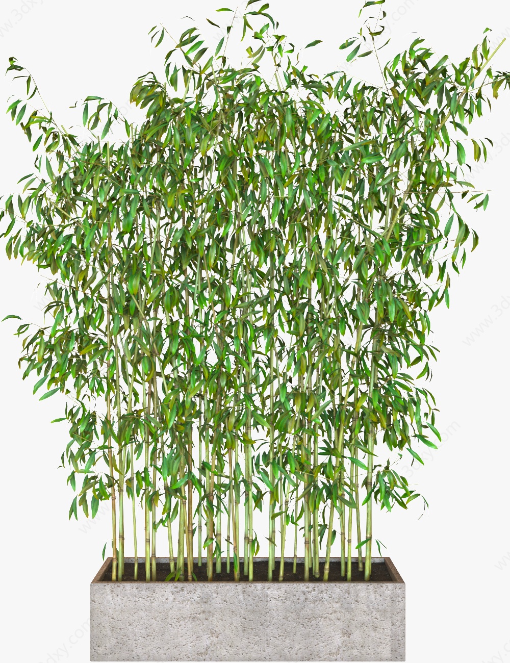 新中式竹子盆栽3D模型