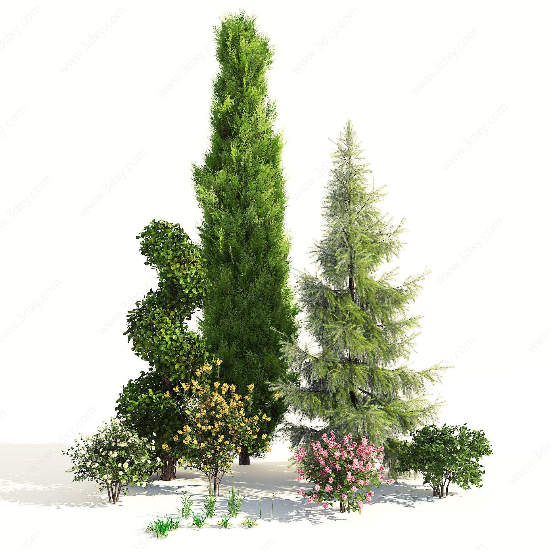 现代园林景观植物树木组合3D模型