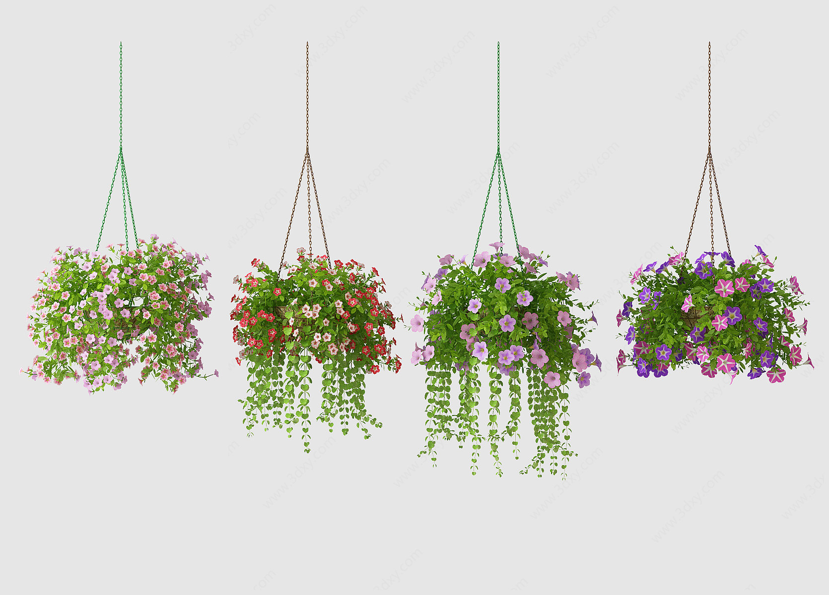 现代植物吊篮花艺3D模型