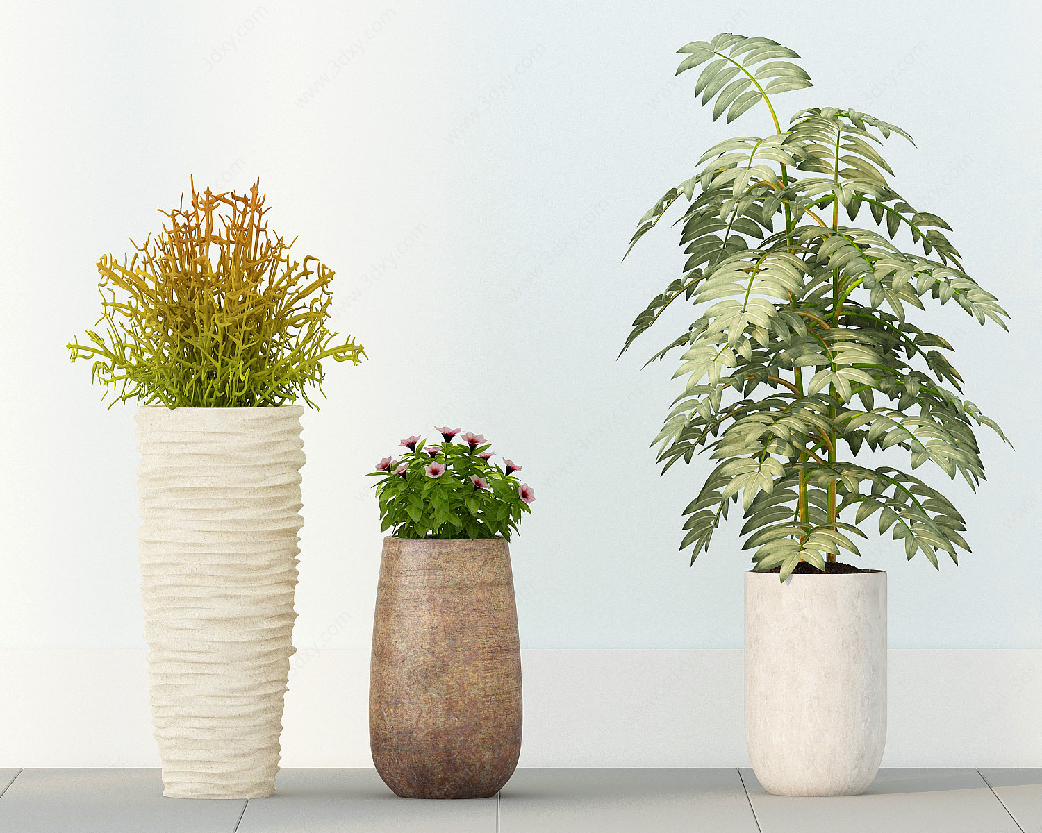 现代盆栽植物3D模型
