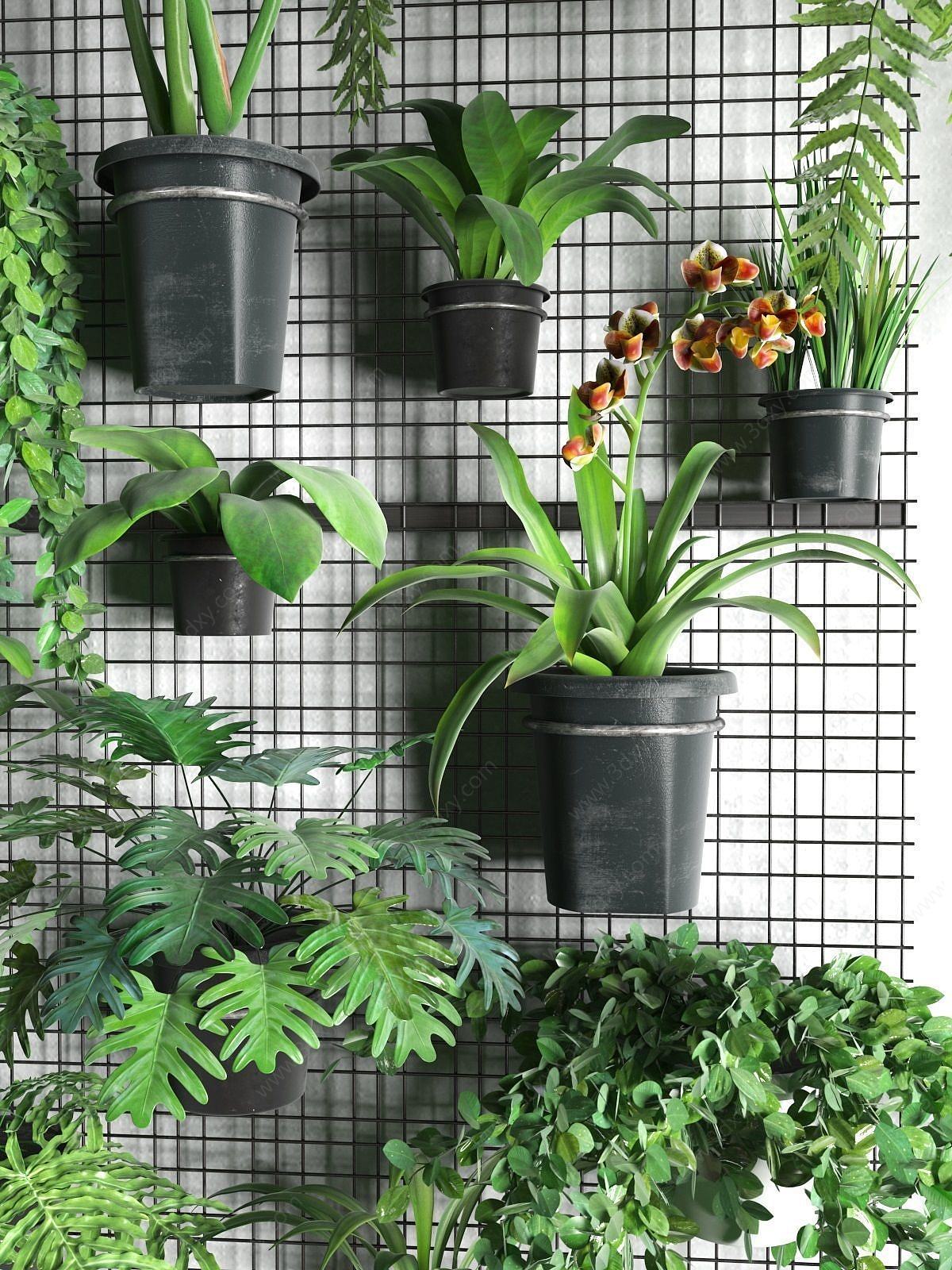 现代绿植盆栽植物墙组合3D模型
