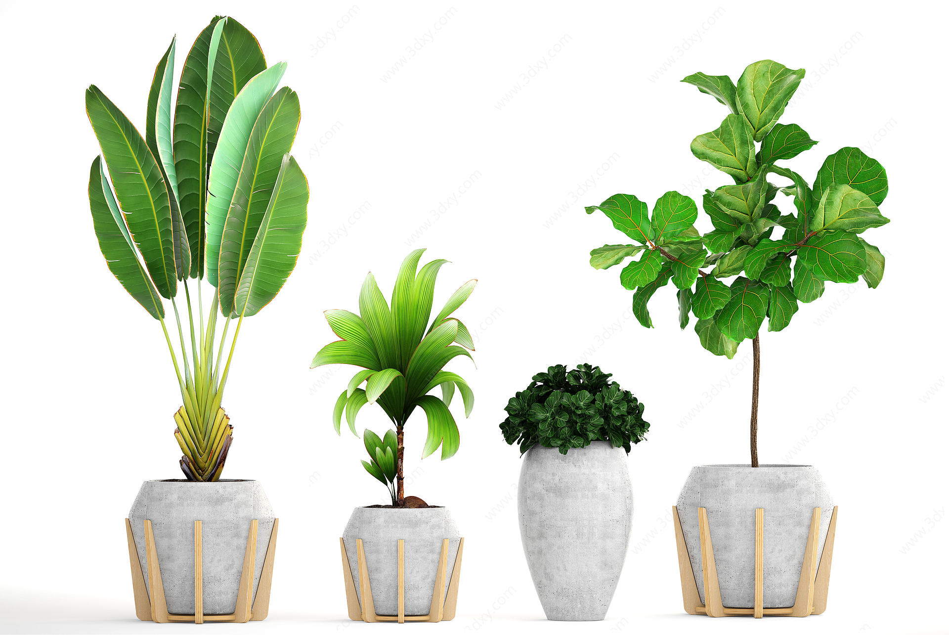 盆栽植物3D模型