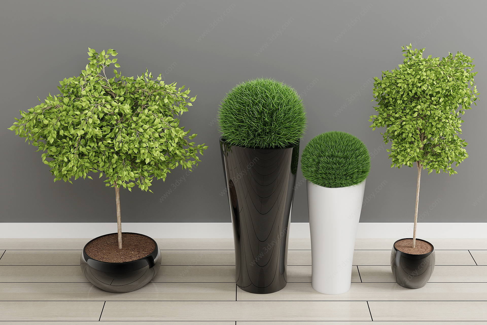 绿植盆栽植物花3D模型