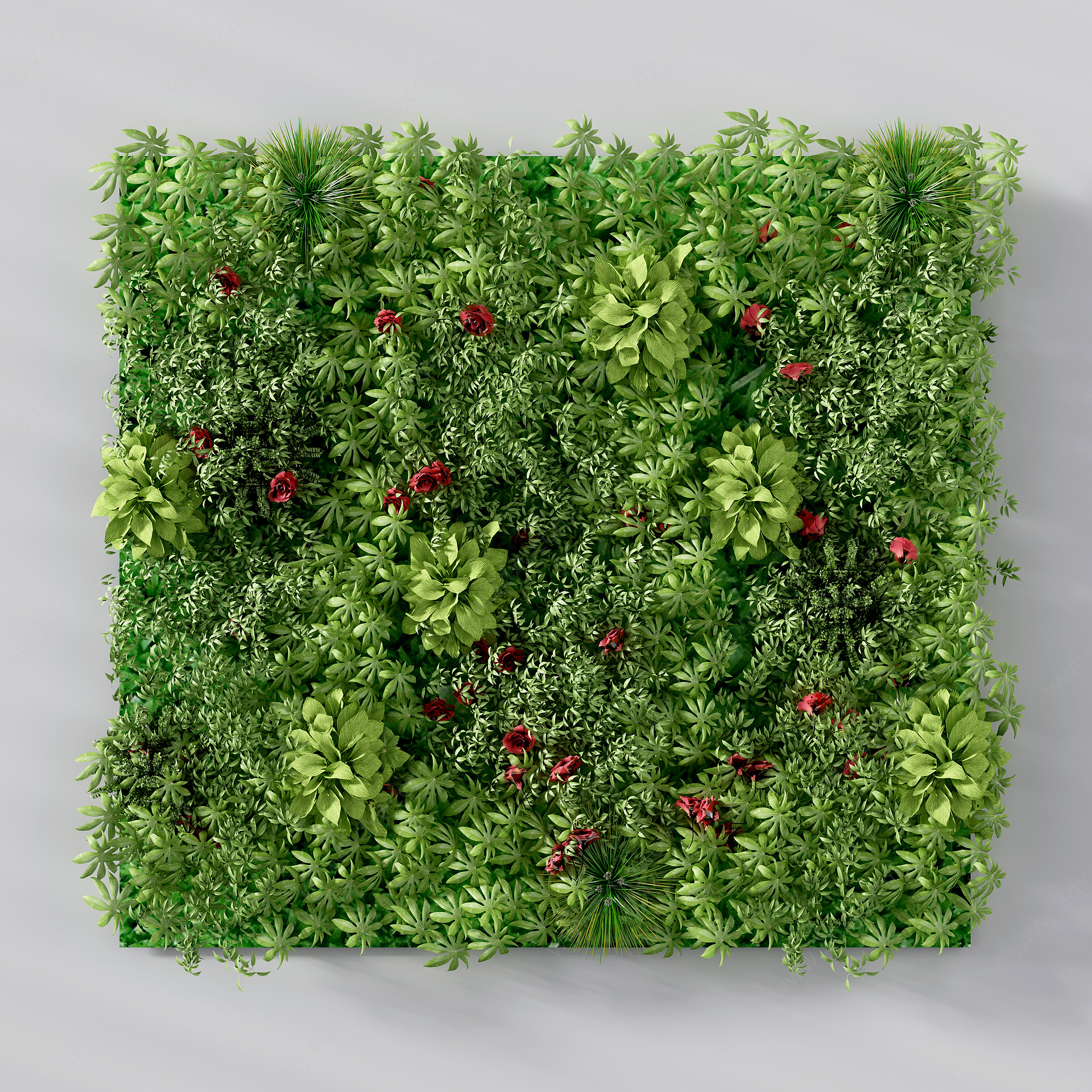 绿植墙植物墙景观3D模型