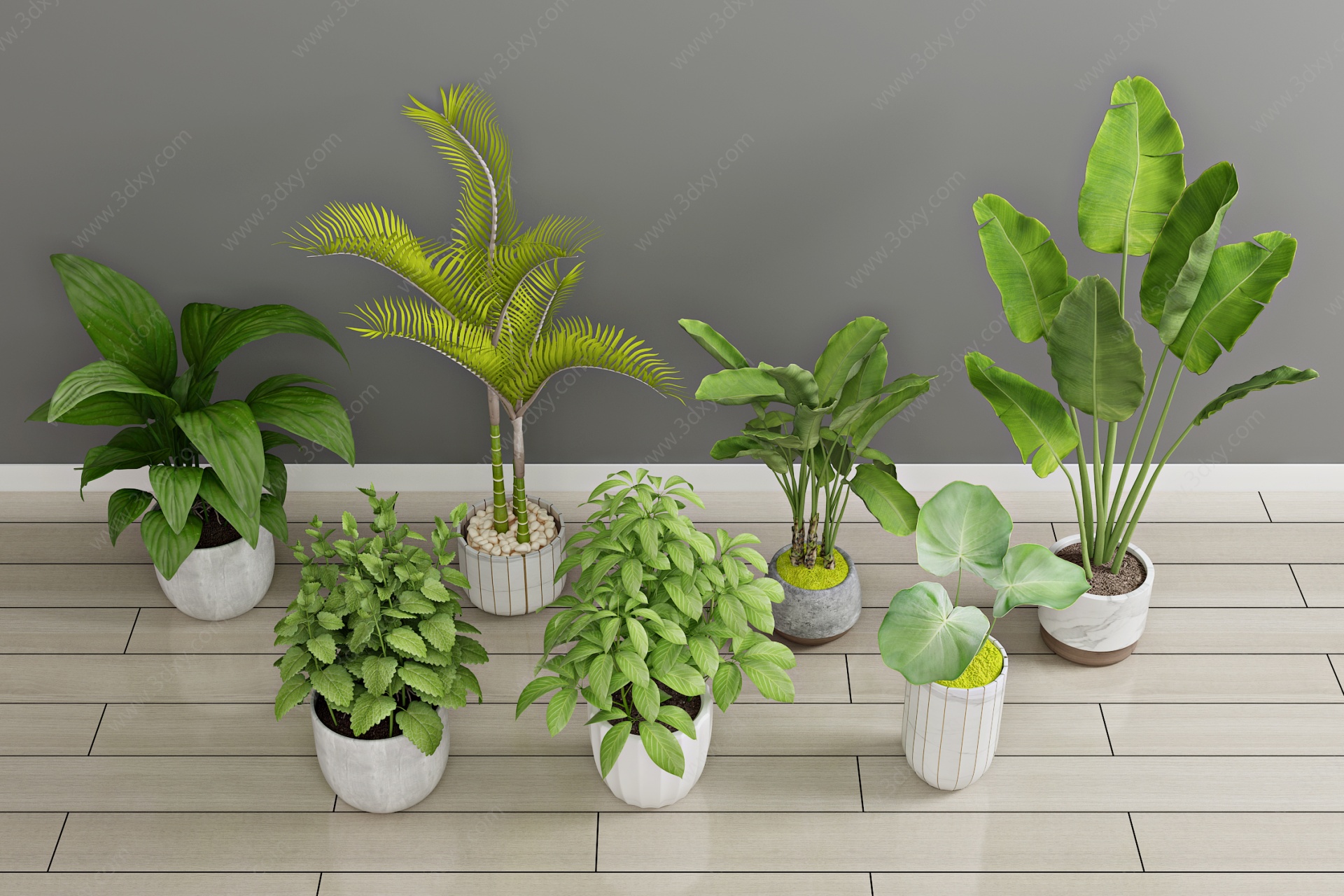 现代绿植盆栽植物花3D模型