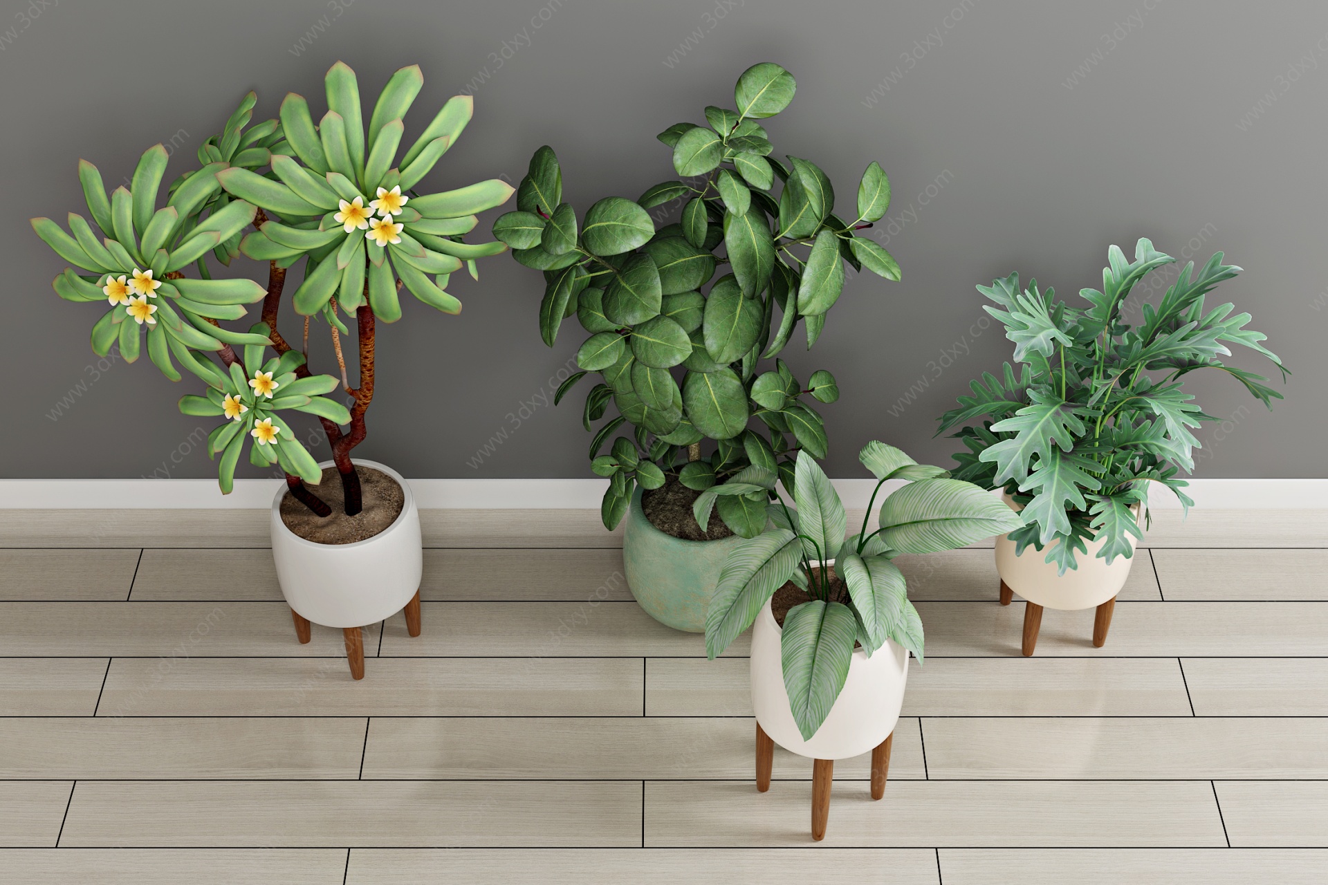 现代绿植盆栽植物花3D模型