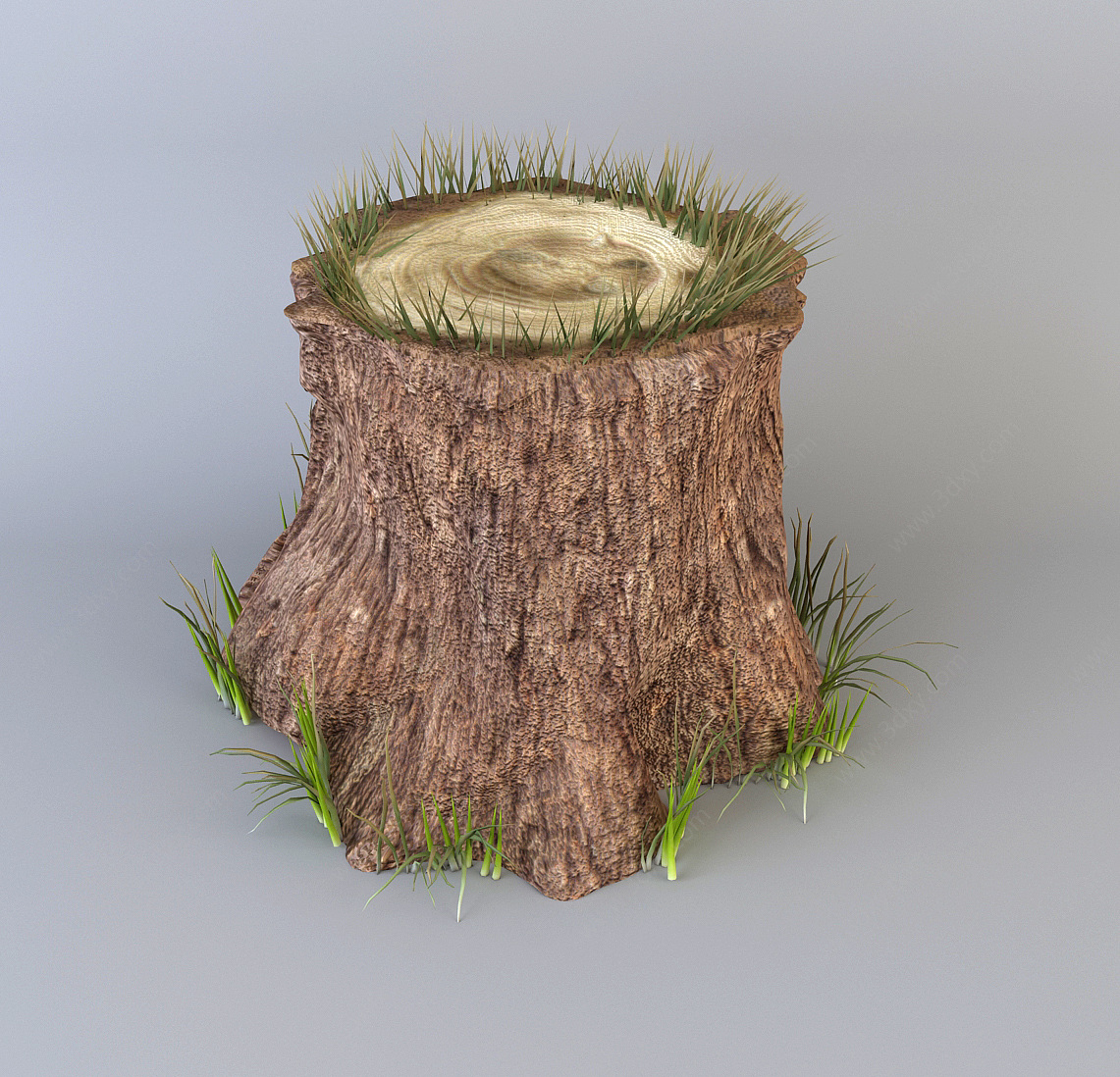木头树墩树桩3D模型