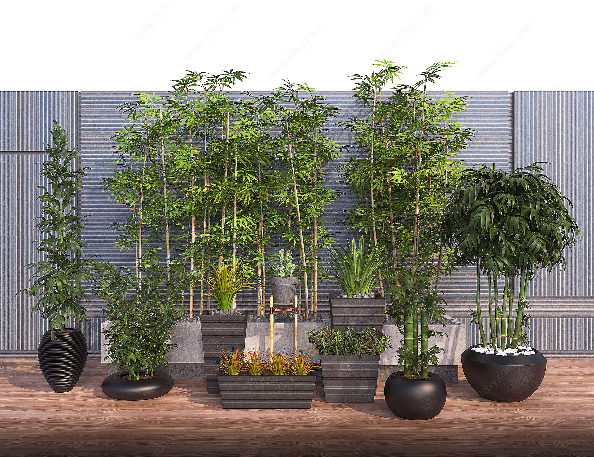 景观植物盆栽植物景观竹3D模型